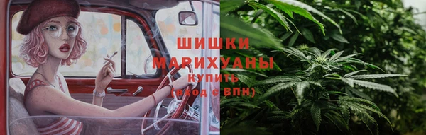 гидра Аркадак