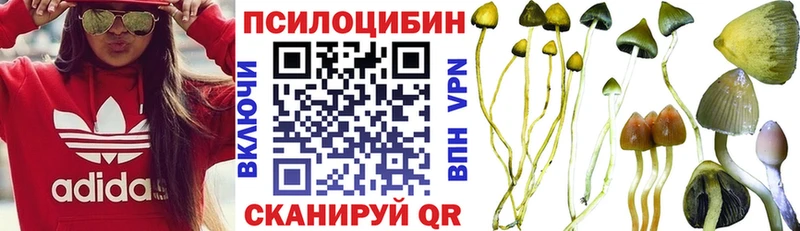 это Telegram  OMG зеркало  Артёмовский  наркотики  Псилоцибиновые грибы Psilocybine cubensis 